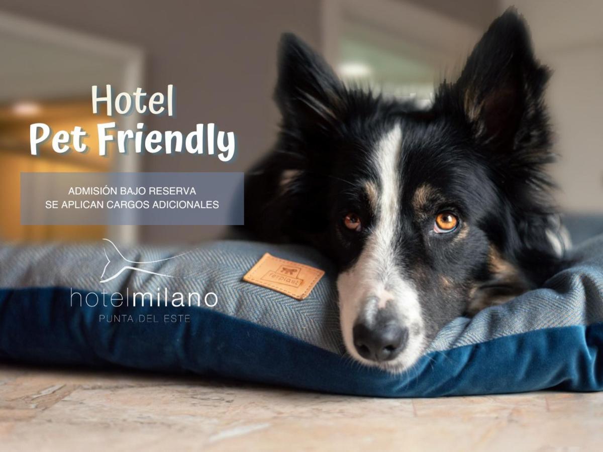 Hotel Milano Пунта дел Есте Екстериор снимка